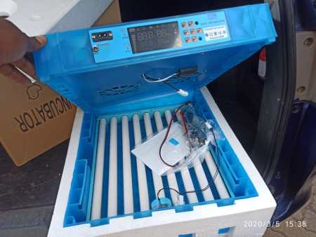 64 Egg Automatic Chicken and Quail Incubator